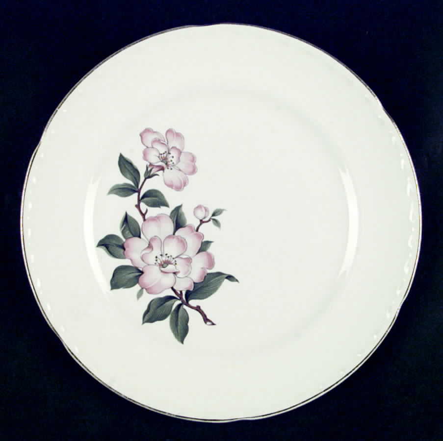 CRO202 Dinner Plate by Crooksville-1