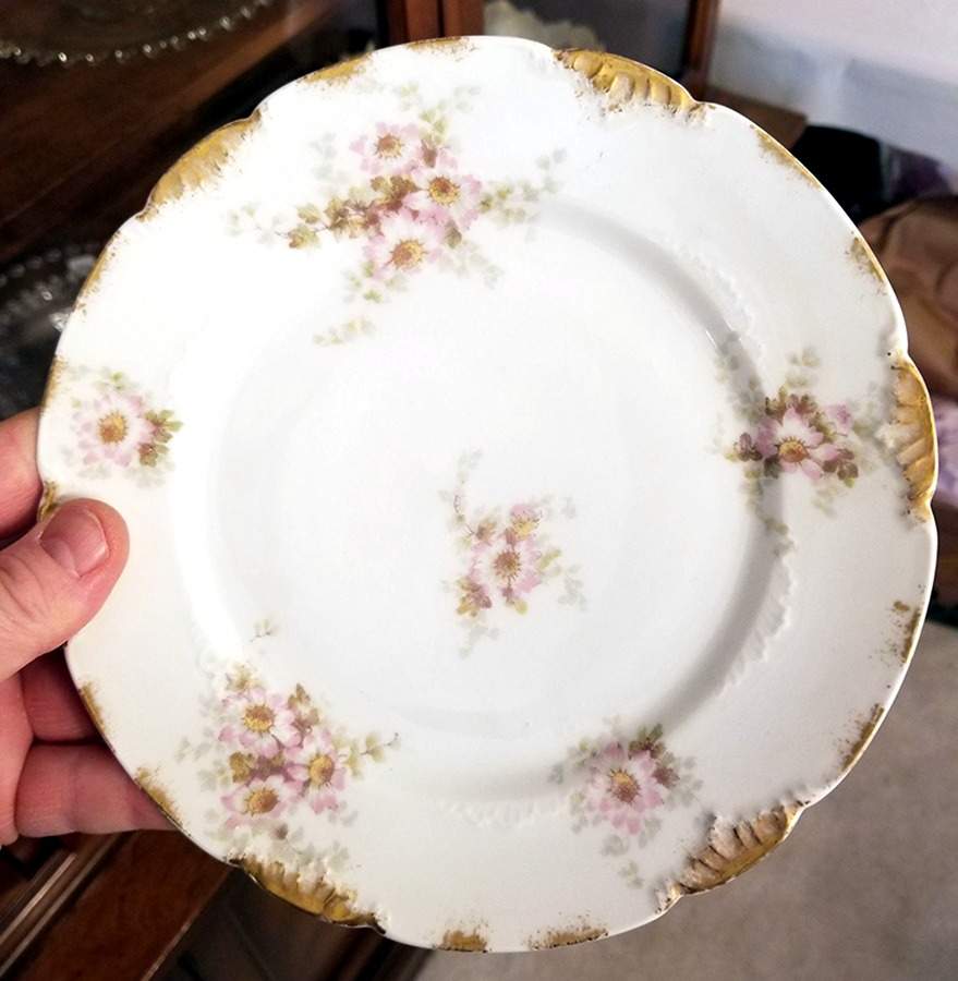 CHF747 Salad Plate by Charles Field Haviland-1