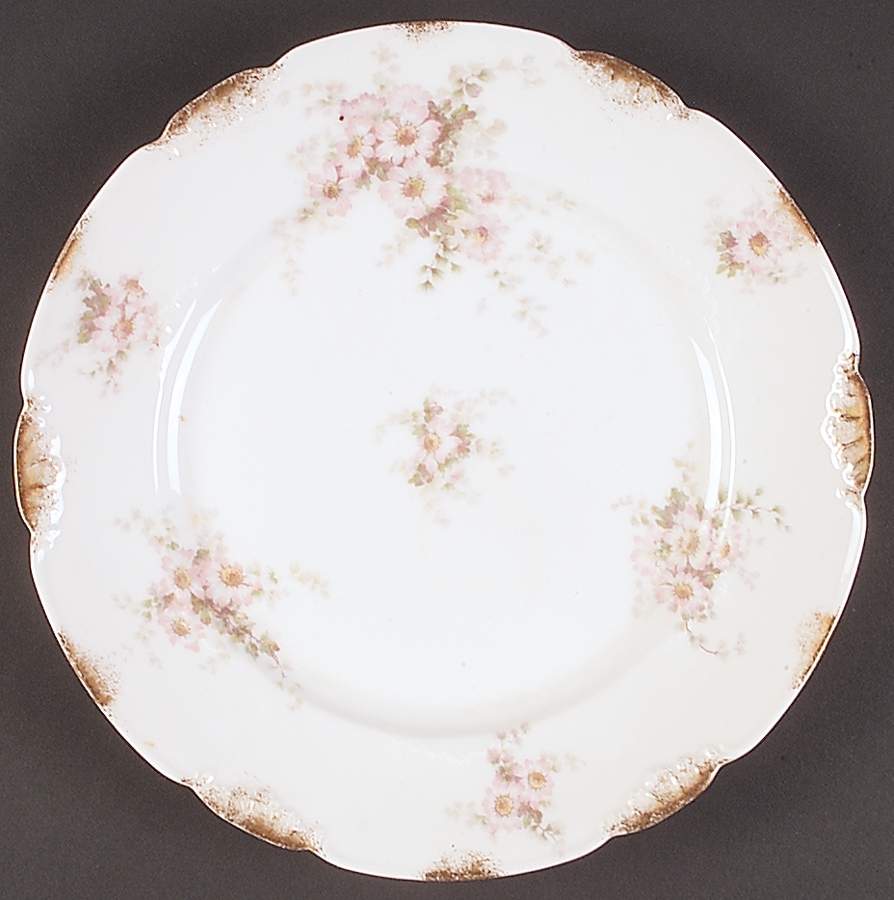 CHF747 Dinner Plate by Charles Field Haviland-1