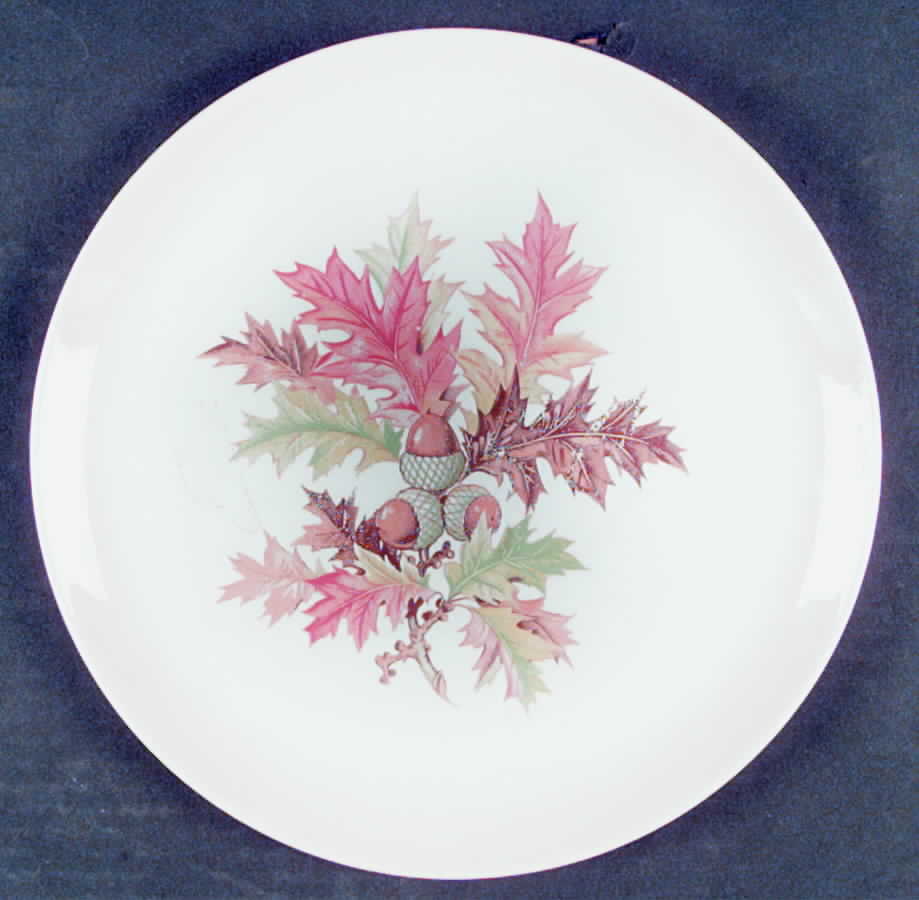 CRO207 Dinner Plate by Crooksville-1