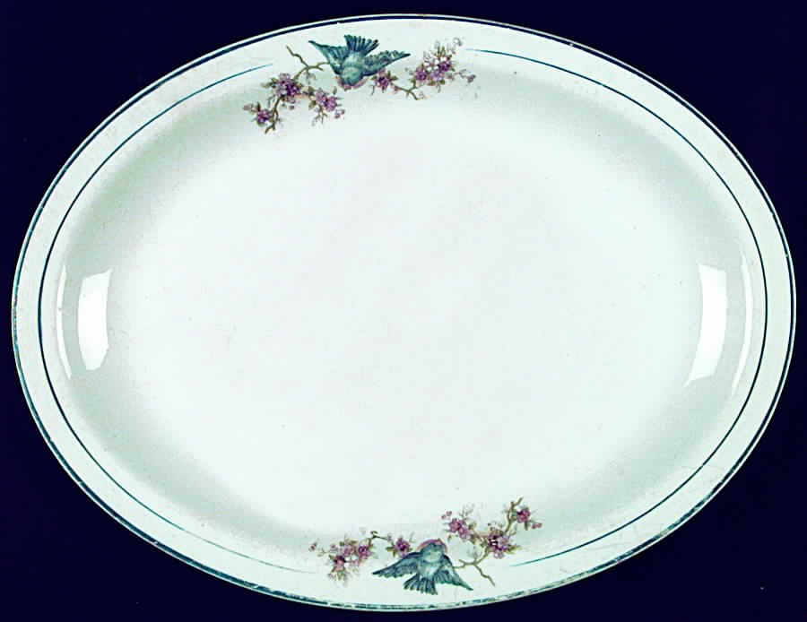CAN131 12" Oval Serving Platter by Canonsburg-1