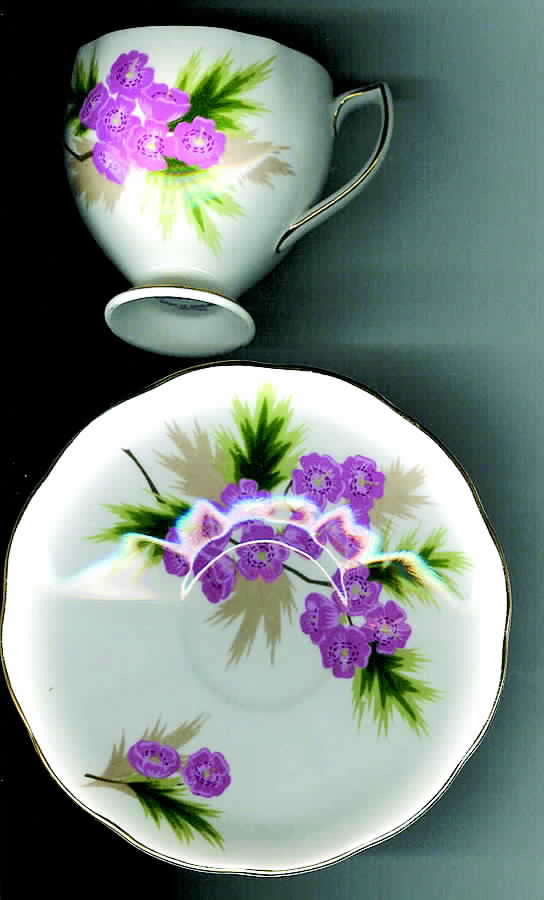 Maytime Footed Cup & Saucer Set by Colclough-1