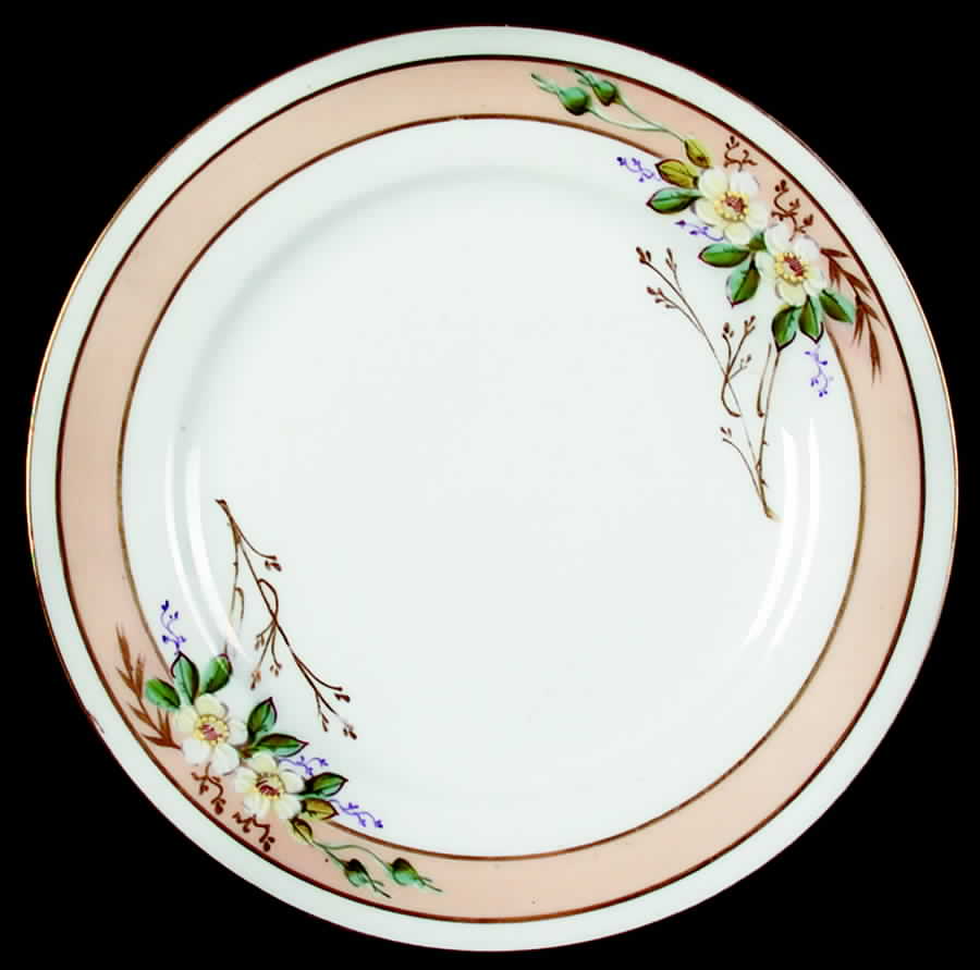 CHF752 Salad Plate by Charles Field Haviland-1