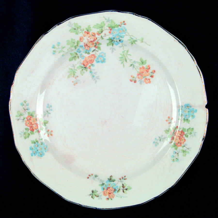 CRP104 Dinner Plate by Crown Potteries-1