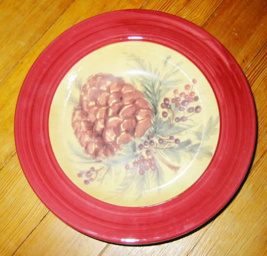 CLR14 Dinner Plate by The Cellar (China)-1