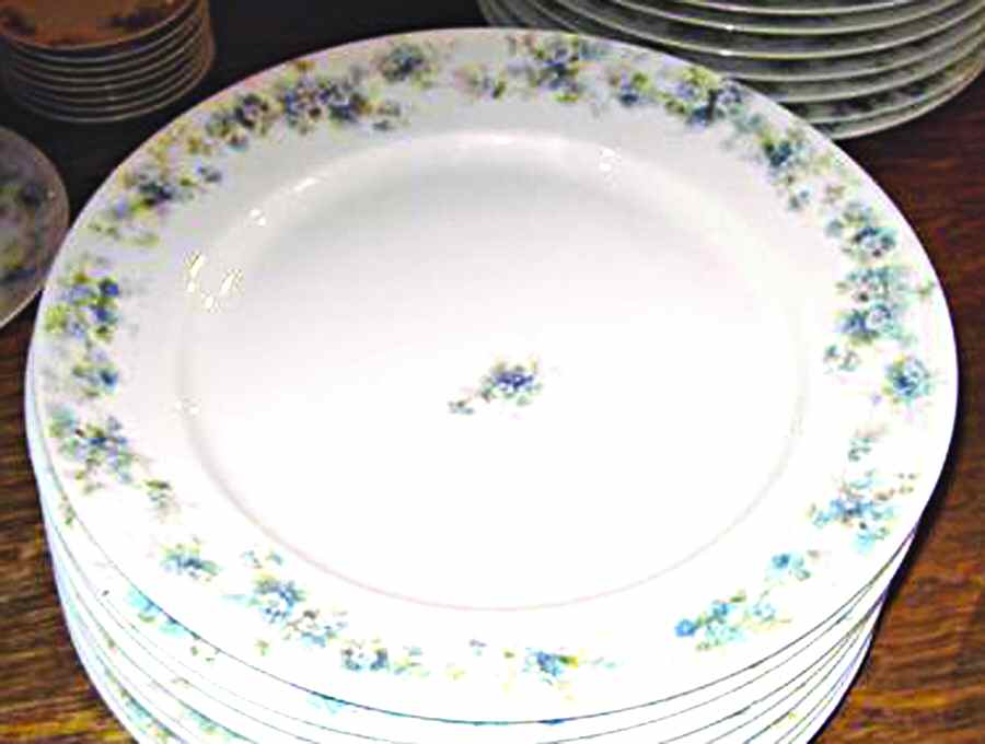 CHF765 Dinner Plate by Charles Field Haviland-1