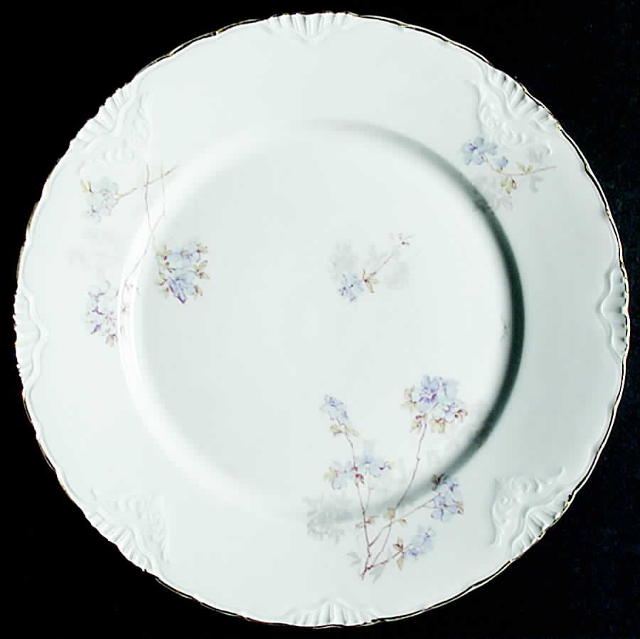CEB101 Dinner Plate by Celebrate-1
