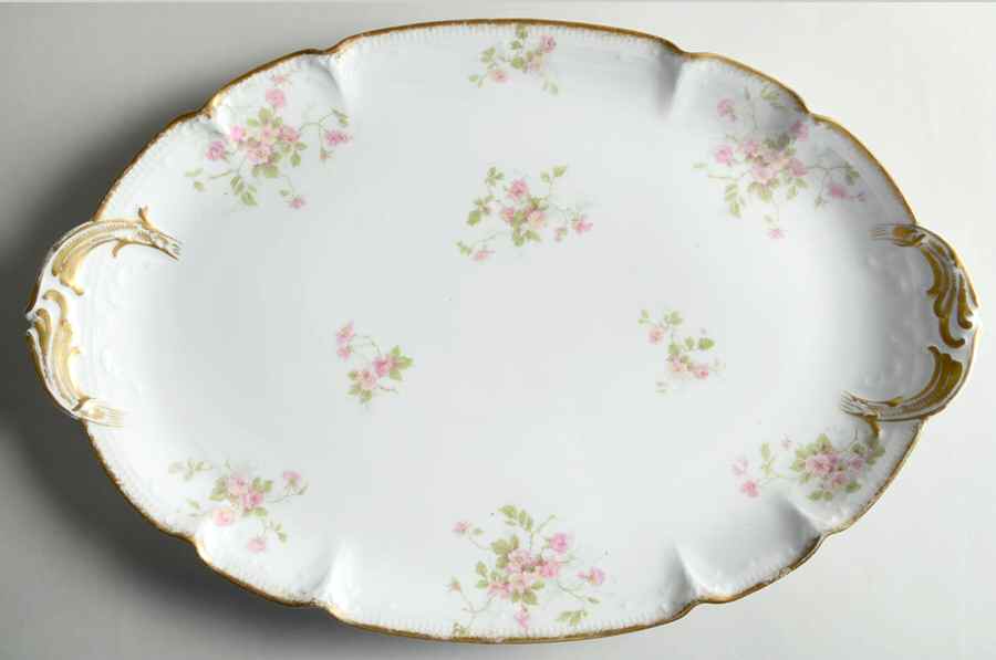 CHF774 17" Oval Serving Platter by Charles Field Haviland-1