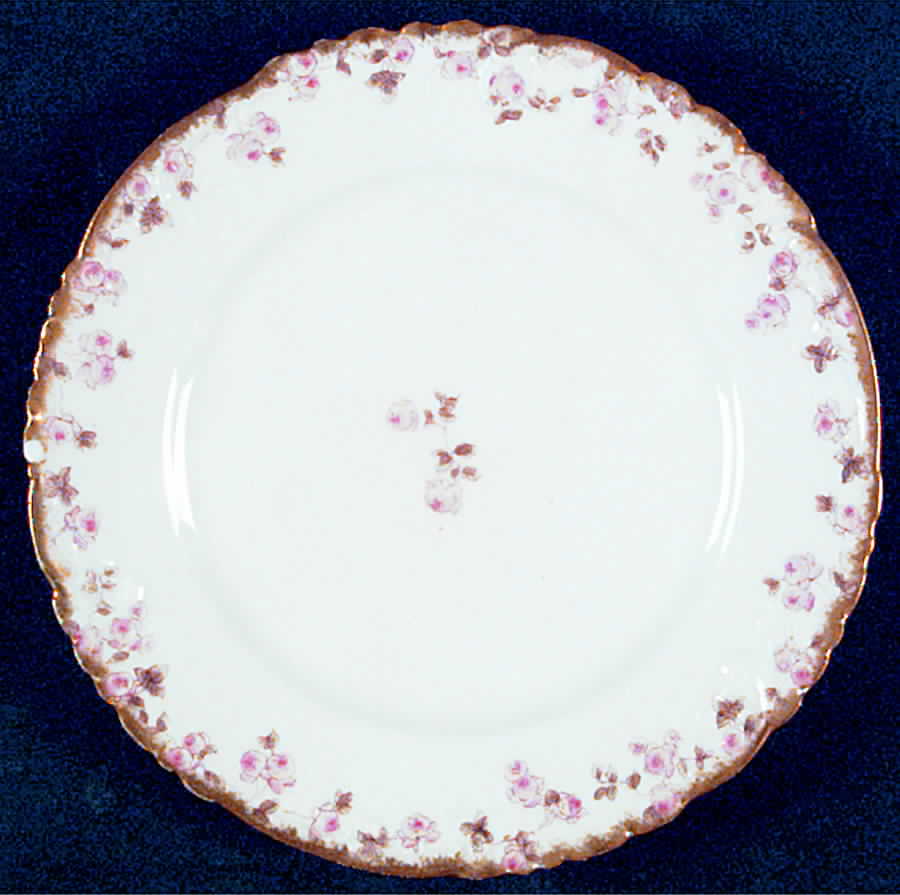 CHF776 Salad Plate by Charles Field Haviland-1