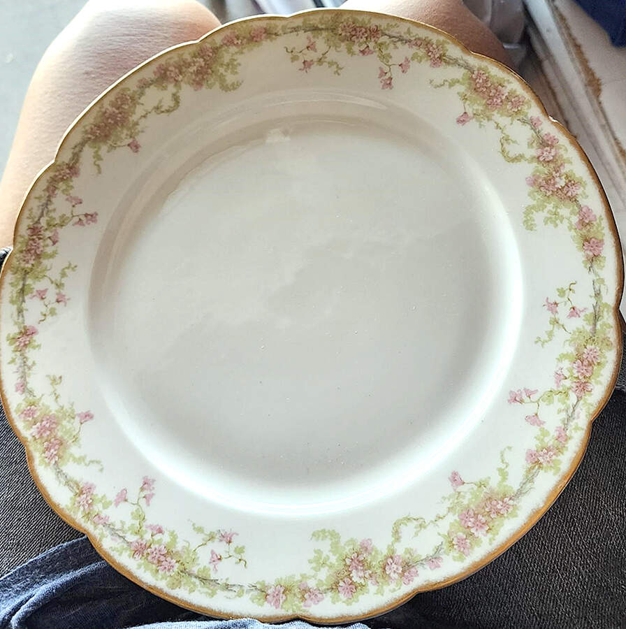 SCH389-3 Dinner Plate by Charles Field Haviland-1