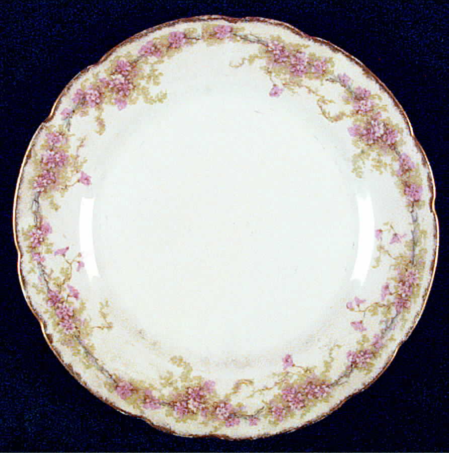 SCH389-3 Salad Plate by Charles Field Haviland-1