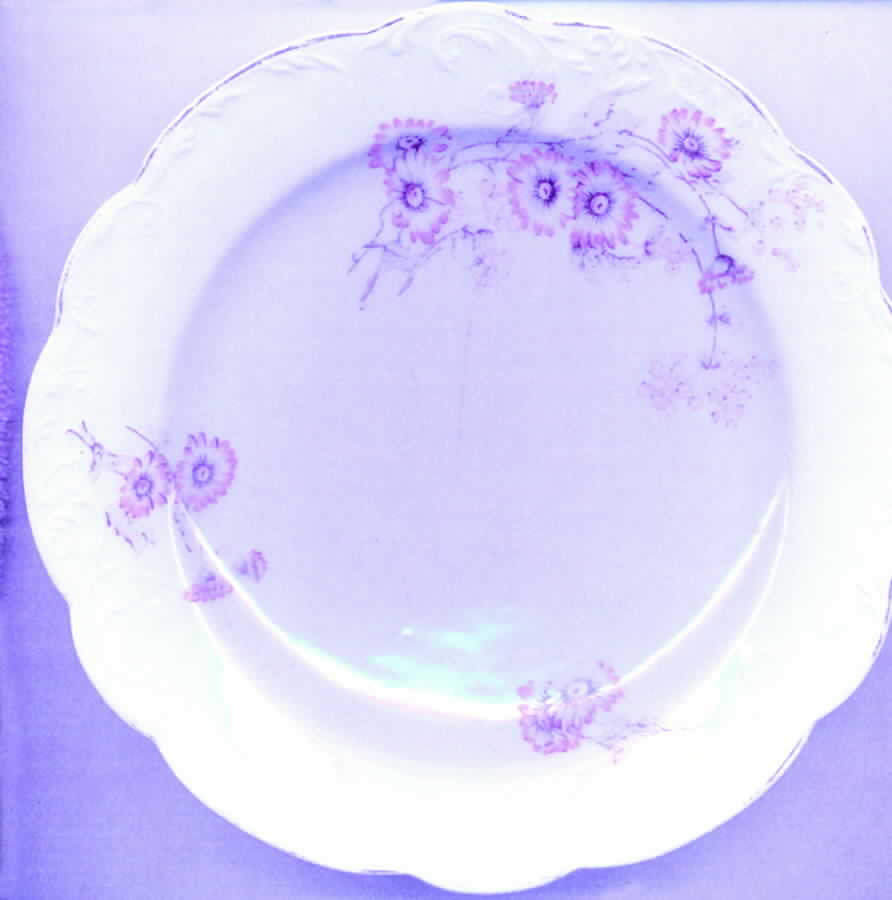 CAR111 Dessert/Pie Plate by Carlsbad-1