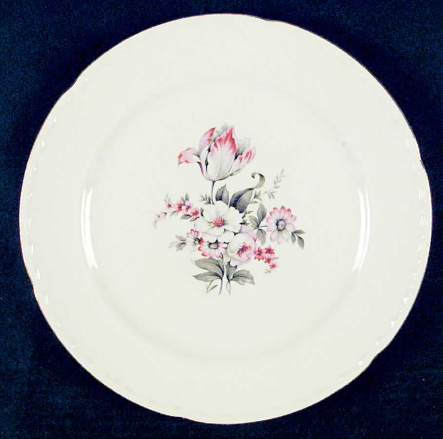 CRO215 Dinner Plate by Crooksville-1