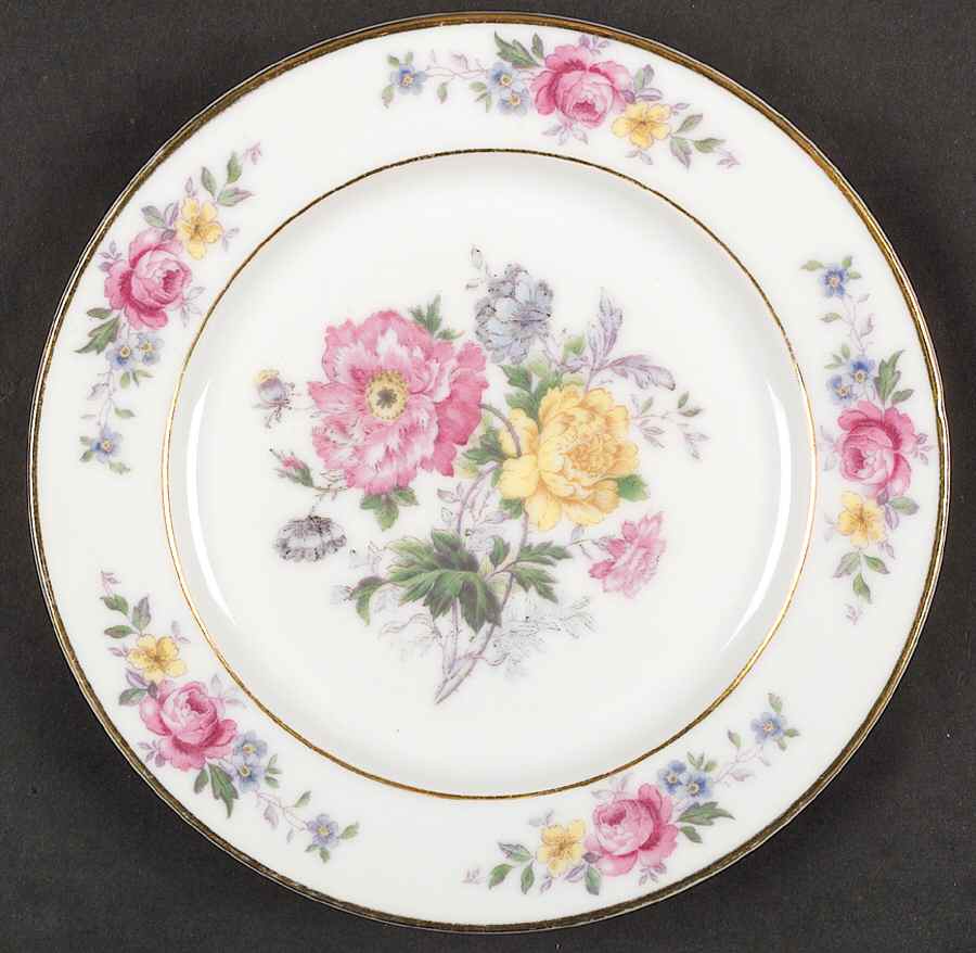 HCZ305 Dinner Plate by Haas-Czjzek Coronado-1