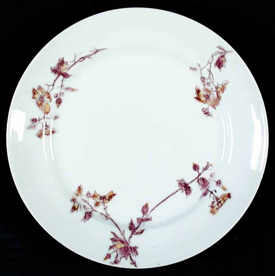 CHF791 Salad Plate by Charles Field Haviland-1