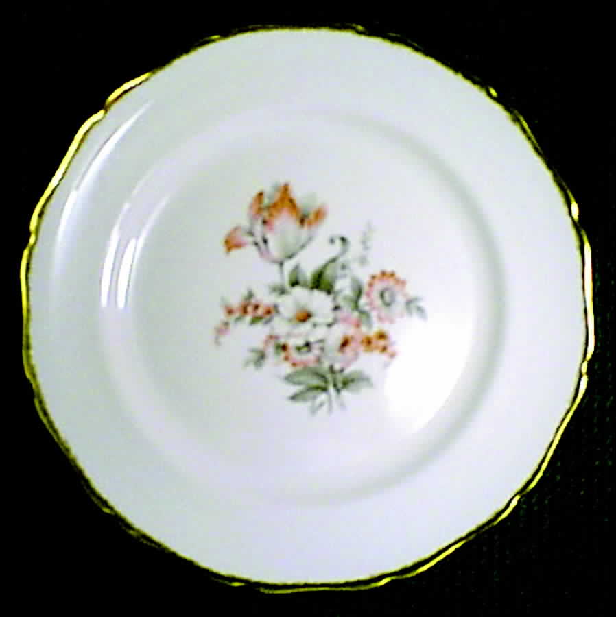 CAN138 Dinner Plate by Canonsburg-1