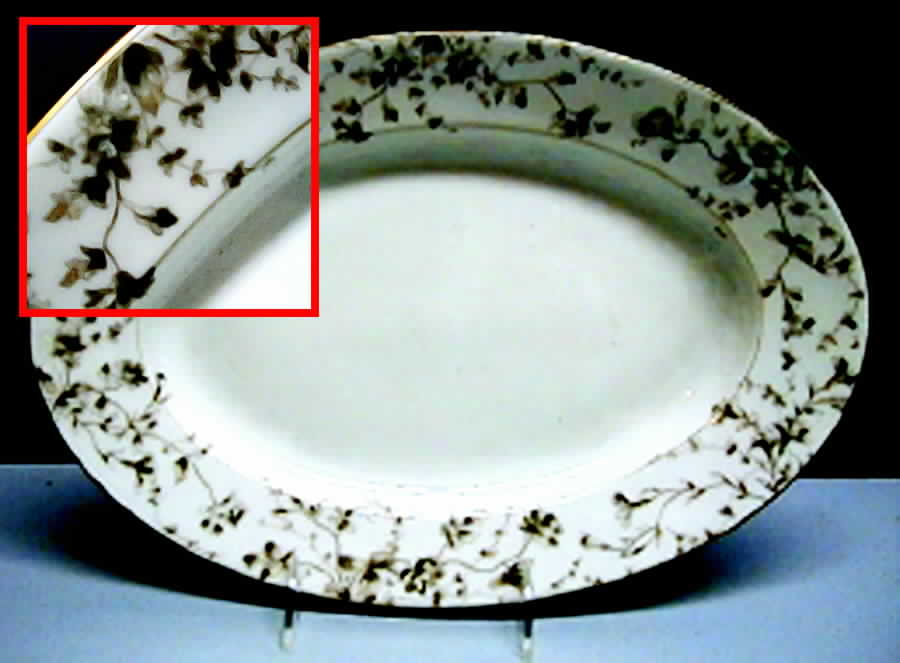 CHF798 14" Oval Serving Platter by Charles Field Haviland-1