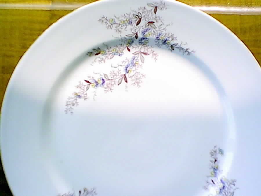 CAR113 Dinner Plate by Carlsbad-1