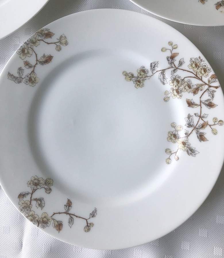 CHF801 Dinner Plate by Charles Field Haviland-1