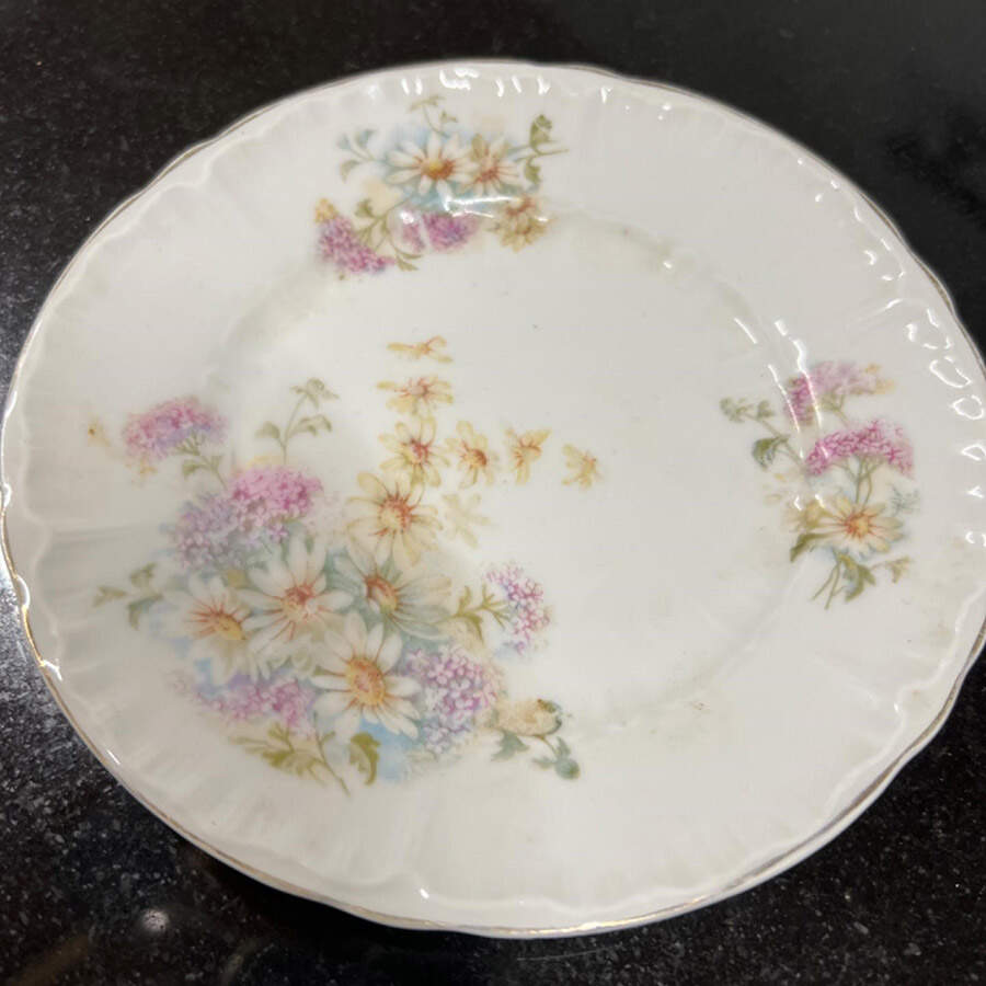 CTI163 Salad Plate by Carl Tielsch-1