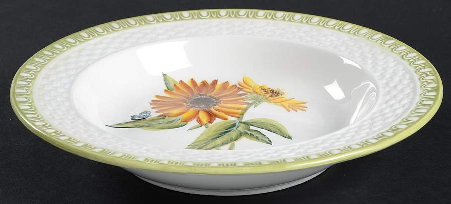 Hampton Garden Rim Soup Bowl by Certified International-1