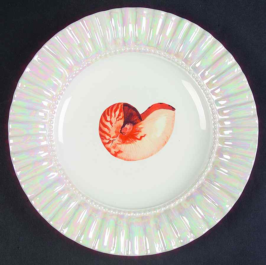 Oceana Salad Plate by Certified International-1