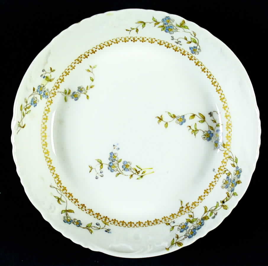 CHF812 Dinner Plate by Charles Field Haviland-1