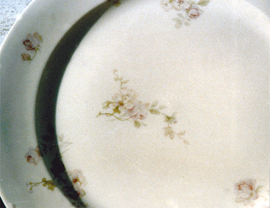 CHF813 Dinner Plate by Charles Field Haviland-1