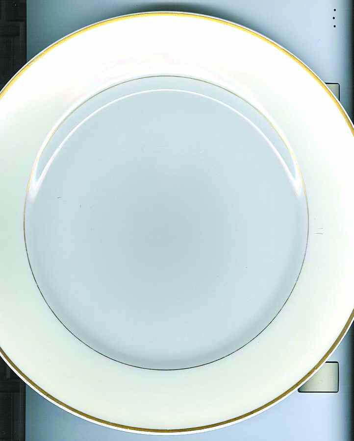 CHF818 Dinner Plate by Charles Field Haviland-1