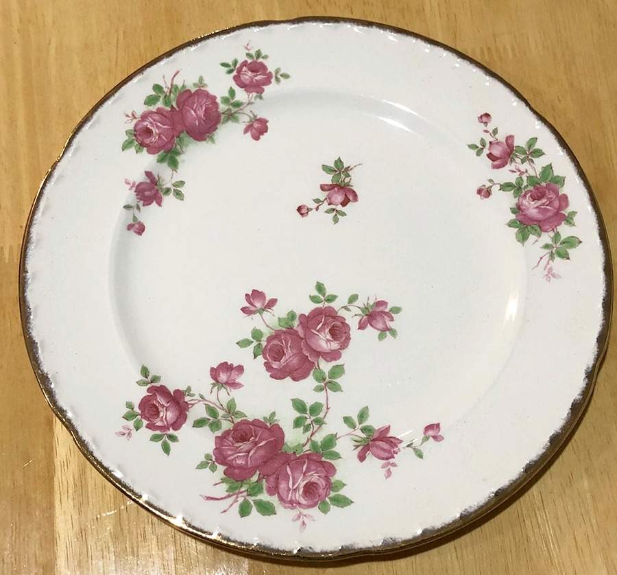 CRO223 Dinner Plate by Crooksville-1