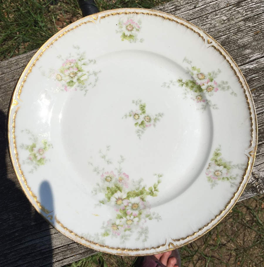 CHF823 Dinner Plate by Charles Field Haviland-1