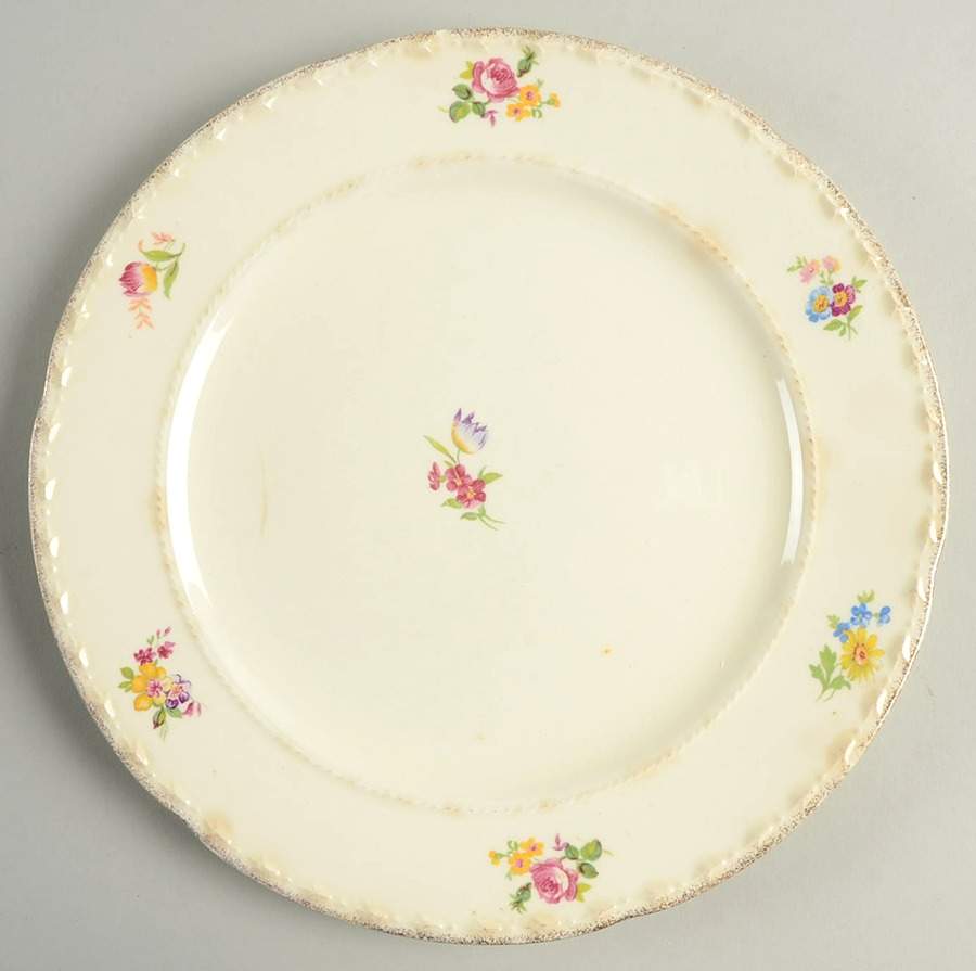 CRO225 Dinner Plate by Crooksville-1
