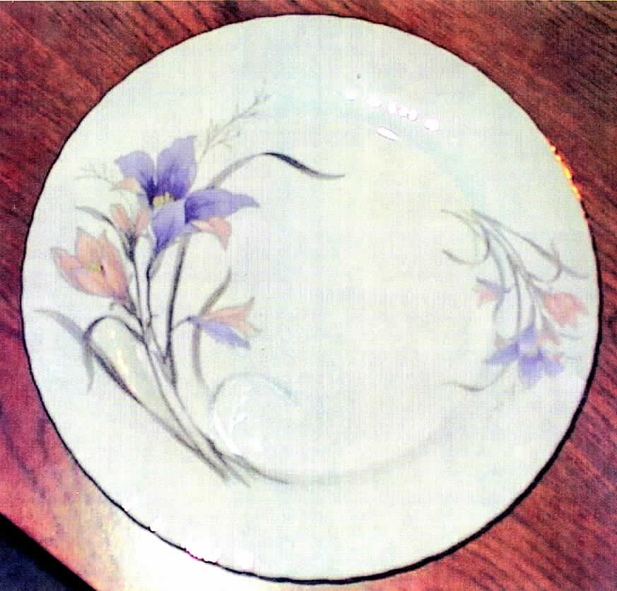J1N2 Dinner Plate by Jesenige-1