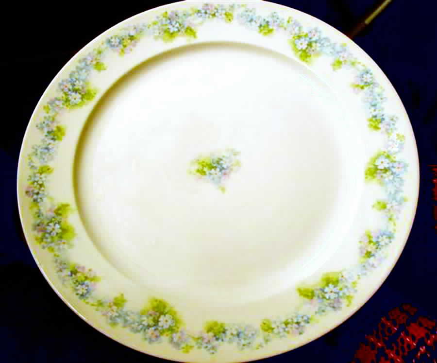 Schleiger 189-2 Dinner Plate by Charles Field Haviland-1