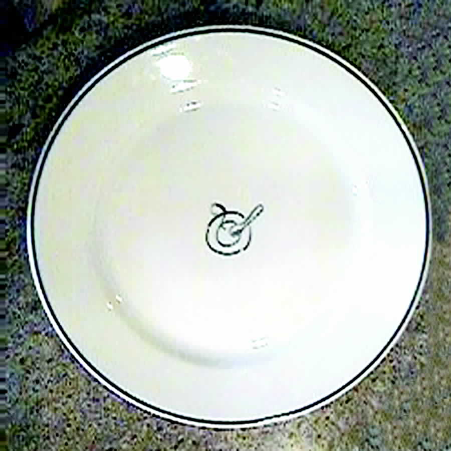 CPU6 Salad Plate by Cost Plus-1