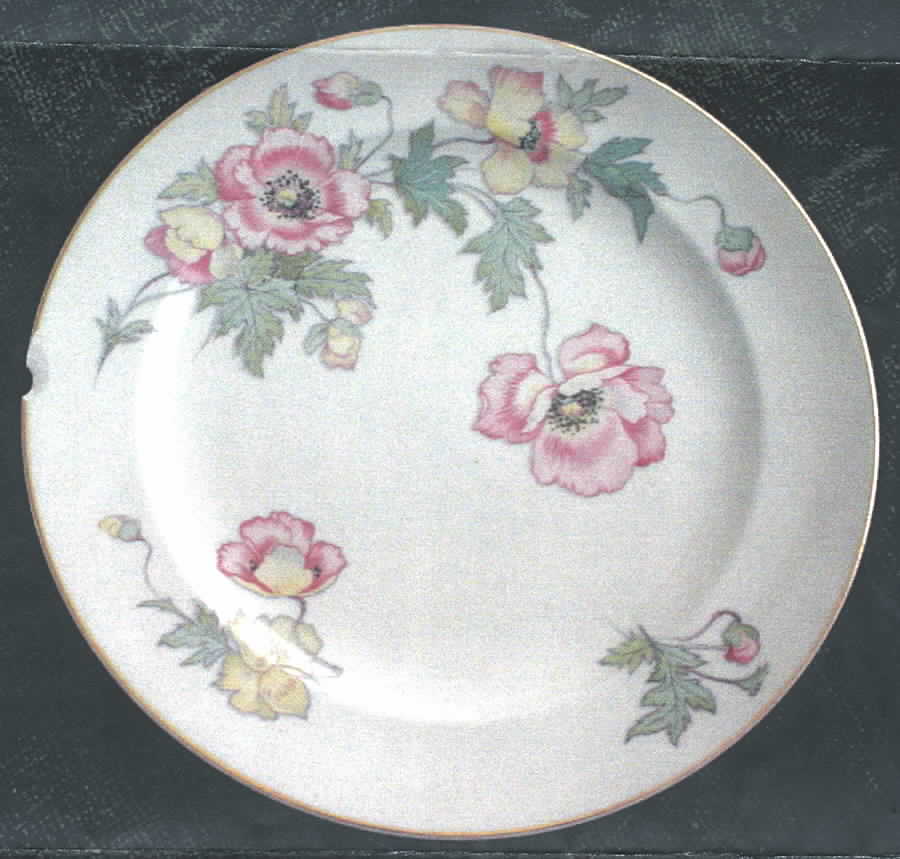 CRO231 Dinner Plate by Crooksville-1