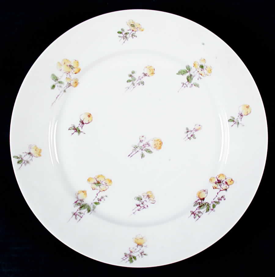 CHF864 Dinner Plate by Charles Field Haviland-1