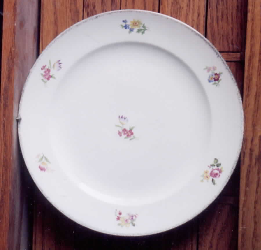 CRO232 Dinner Plate by Crooksville-1