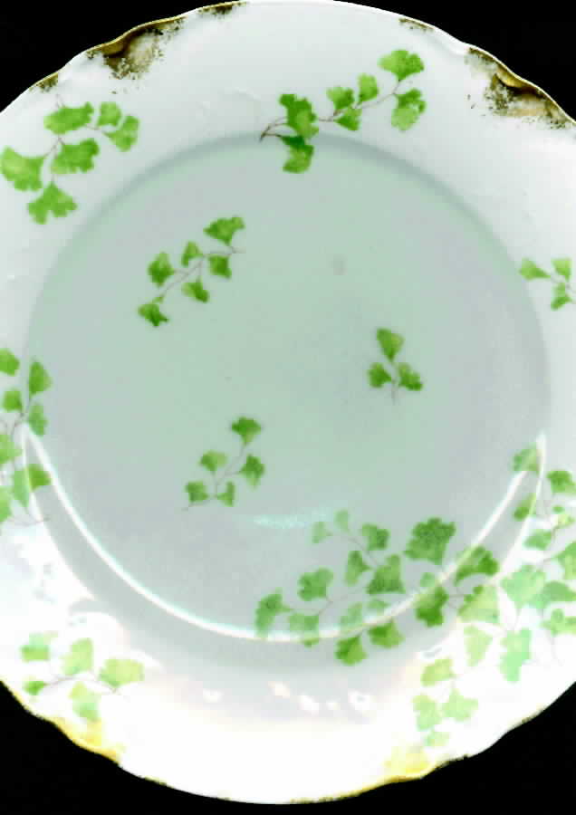 CHF869 Salad Plate by Charles Field Haviland-1