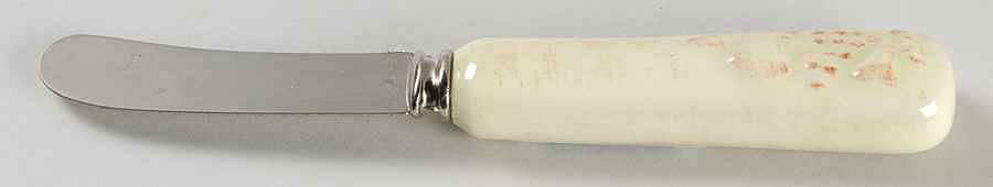 Madeira Harvest (Sage Green) Individual Spreader by Casafina-1