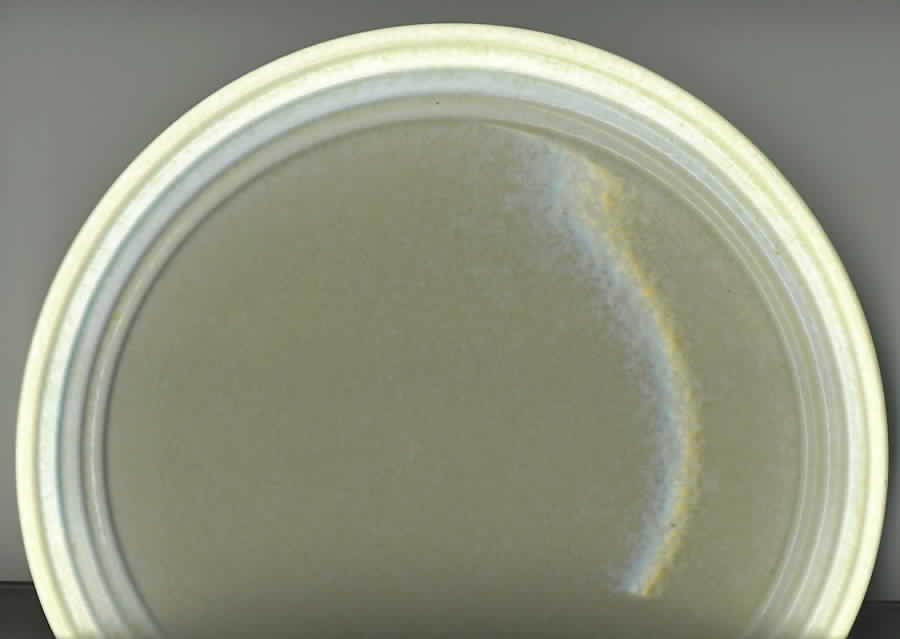 COB20 Salad Plate by BIA Cordon Bleu-1