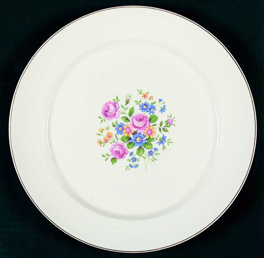 CAN147 Dinner Plate by Canonsburg-1