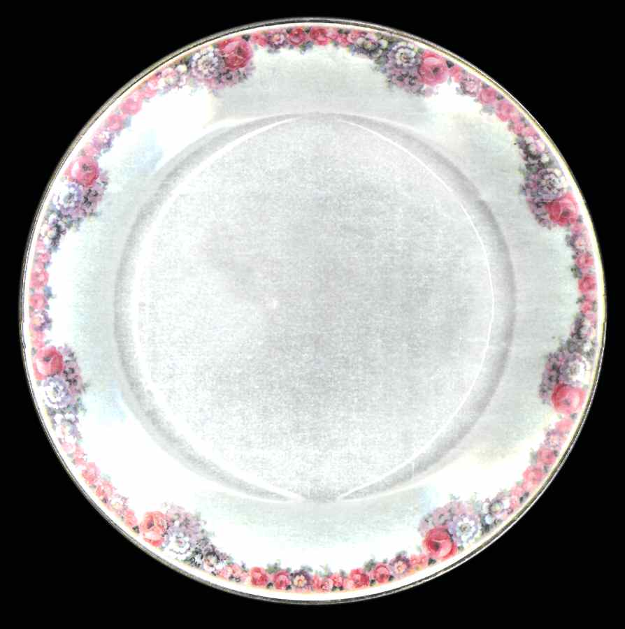 CZE132 Dinner Plate by Czechia-Czechoslovakia-1