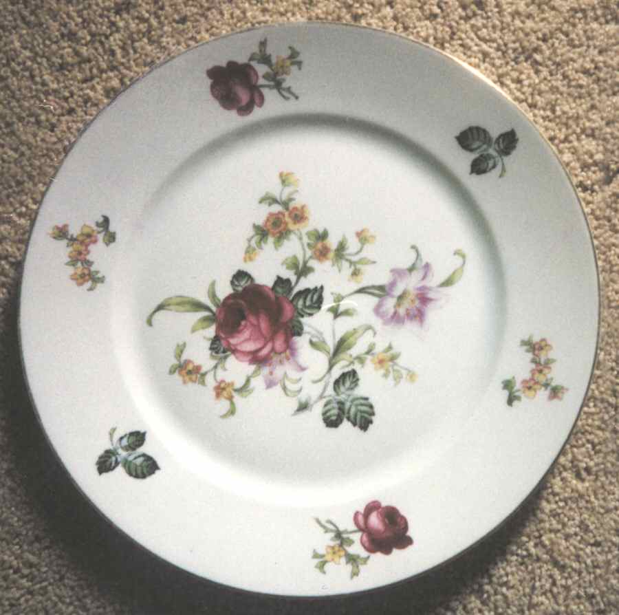 CZE134 Dinner Plate by Czechia-Czechoslovakia-1