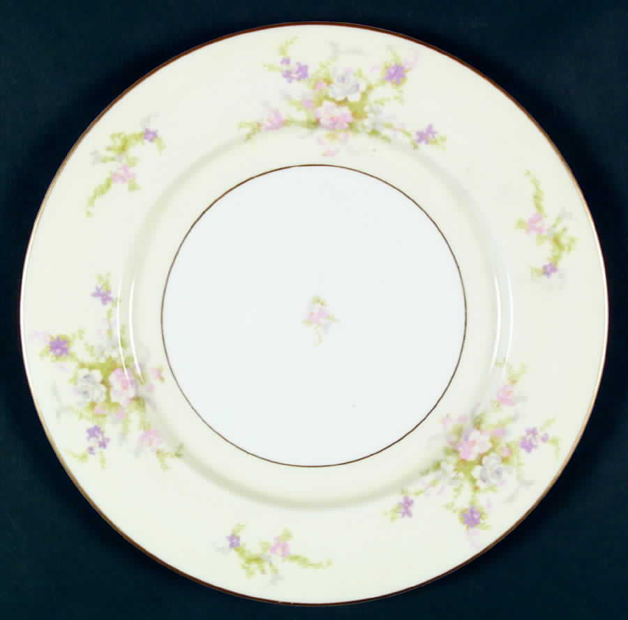 CPT7 Dinner Plate by Capital (USA)-1