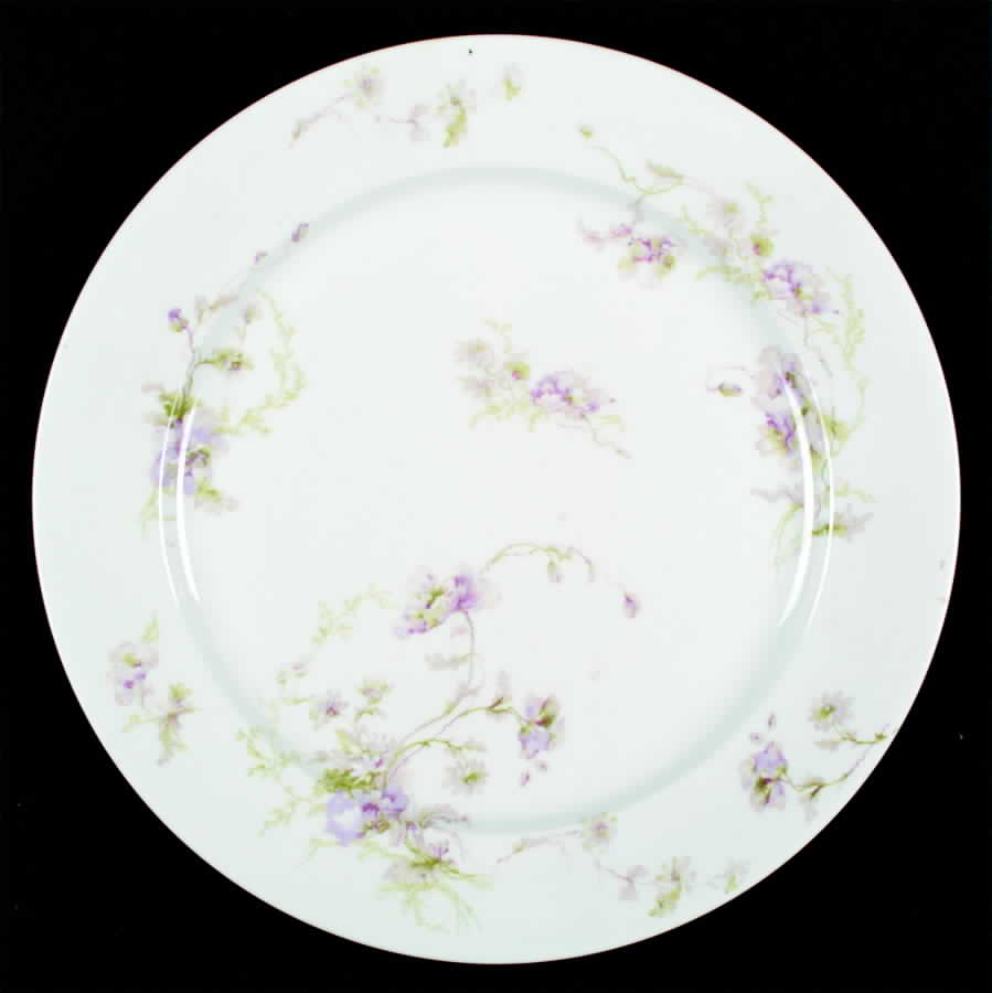 Schleiger 377-1 Dinner Plate by Charles Field Haviland-1