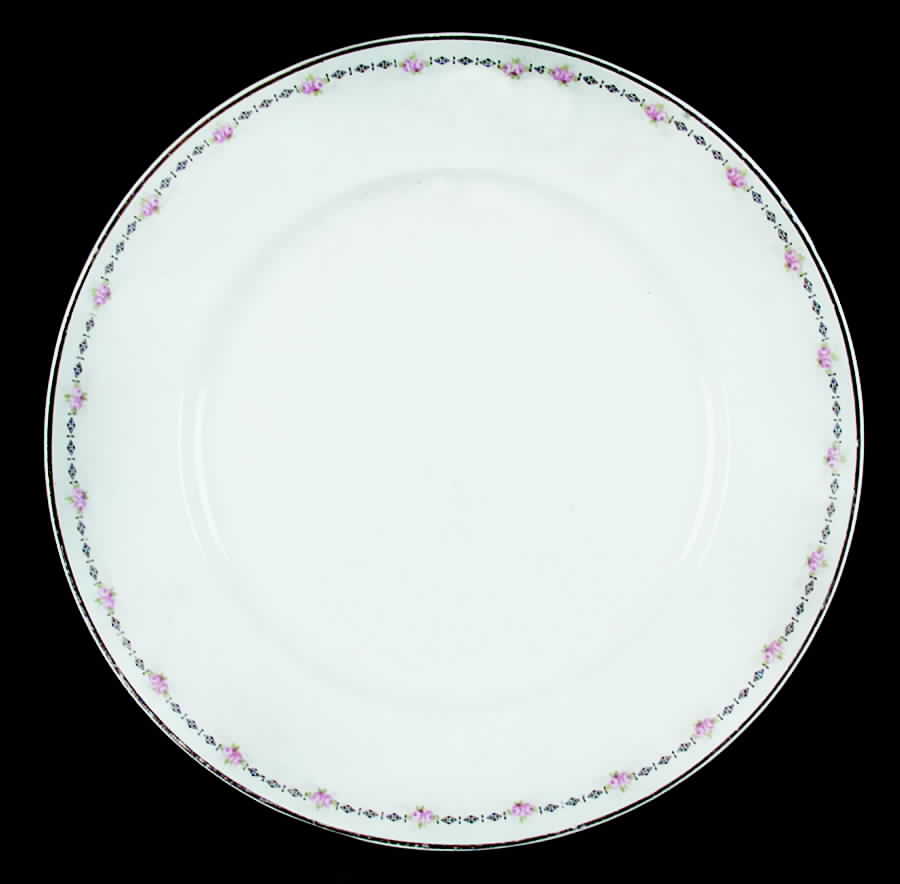 CRO235 Luncheon Plate by Crooksville-1