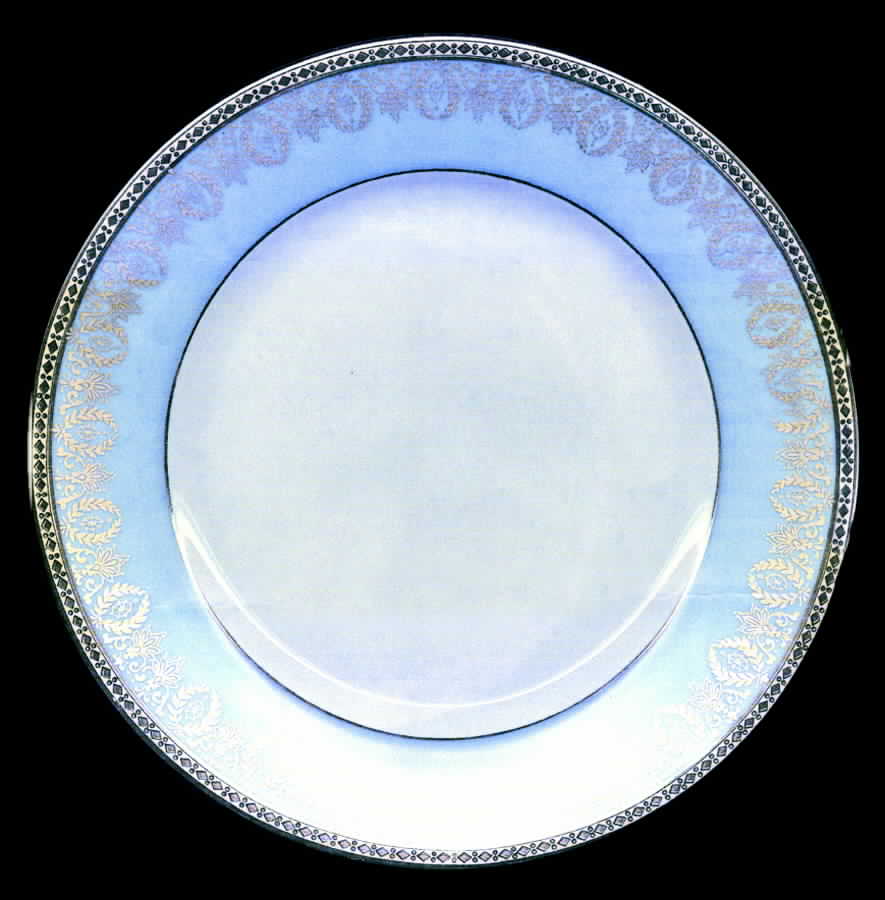 CHF885 Salad Plate by Charles Field Haviland-1