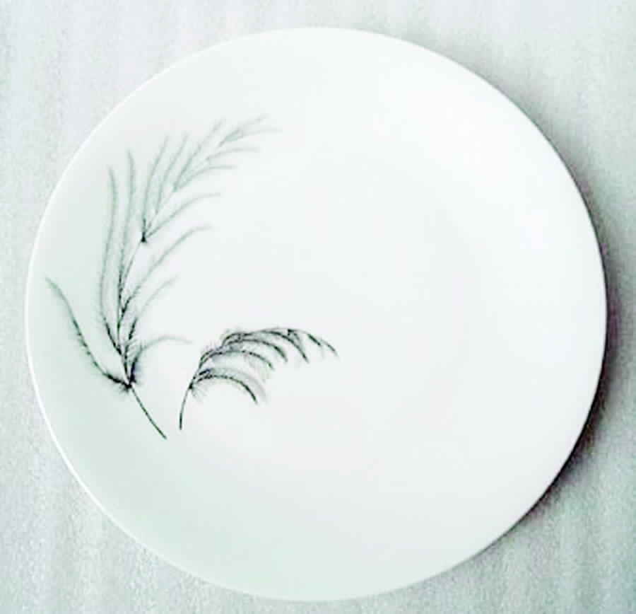 CHF887 Dinner Plate by Charles Field Haviland-1