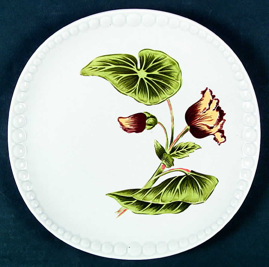 Begonia (No Trim) Dinner Plate by Crooksville-1